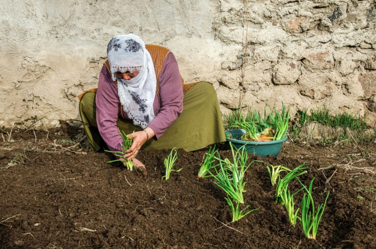 pexels-muhammeddiler-36407729